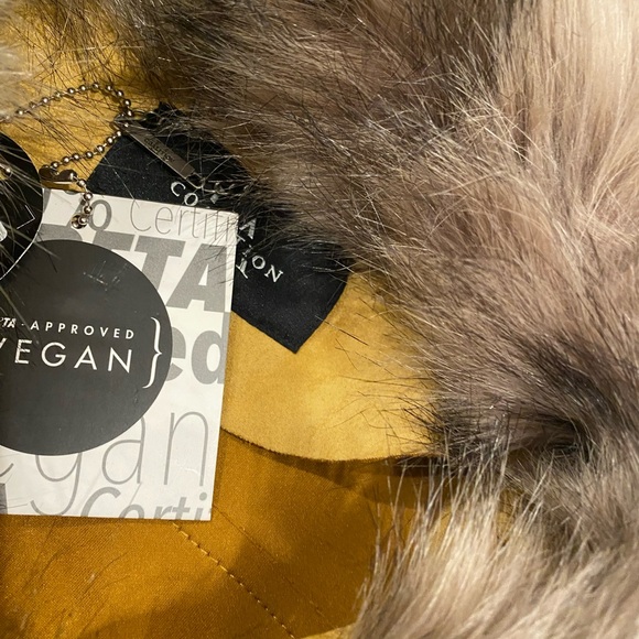 LA Coalition - Picture 10 of 11